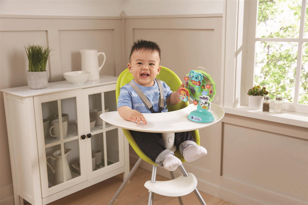 Vtech Sing-Along Spinning Wheel