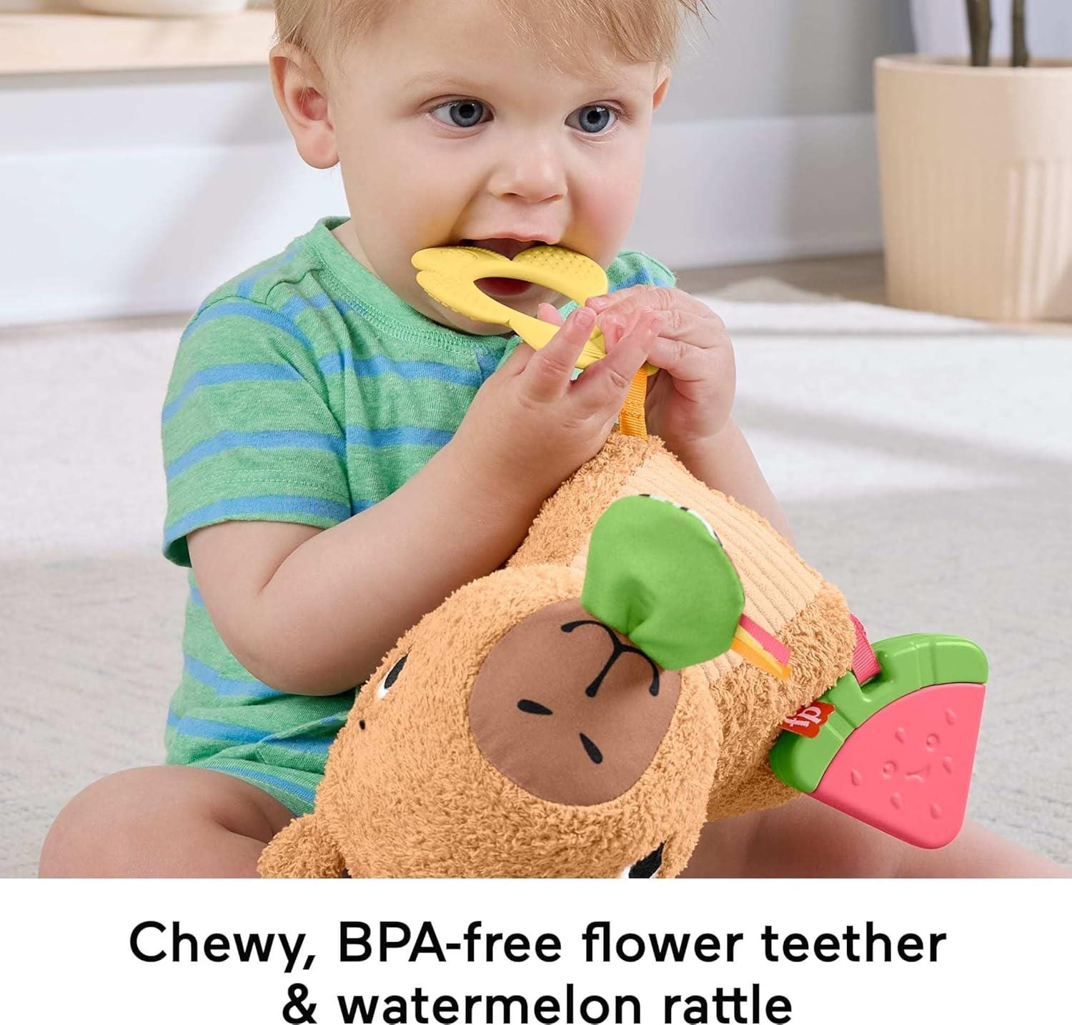 Fisher-Price Snuggly Snacky Capybara Plush Baby Sensory Toy