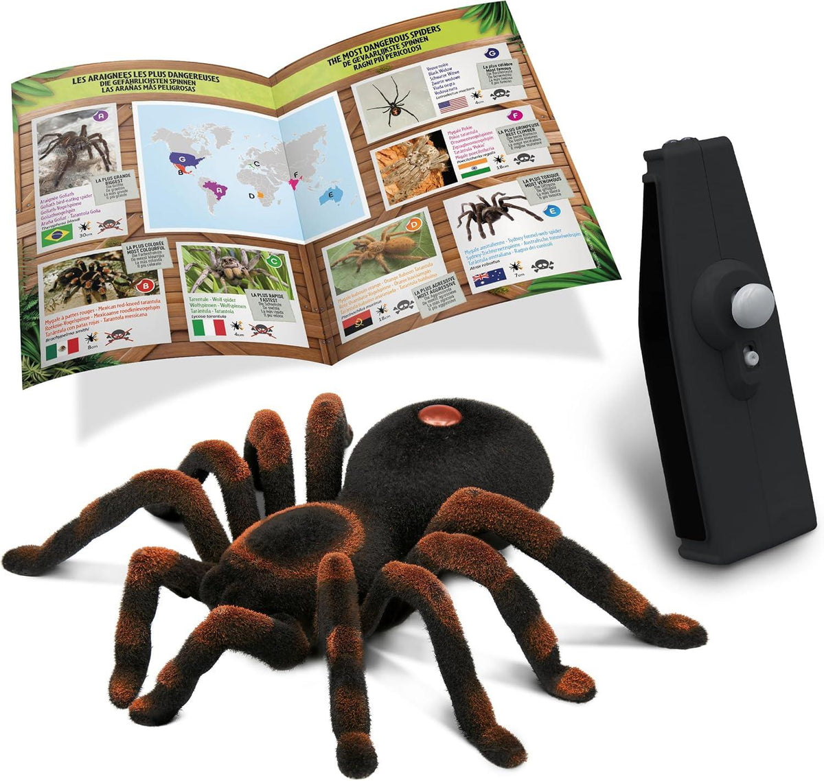 Buki France Remote-Controlled Tarantula