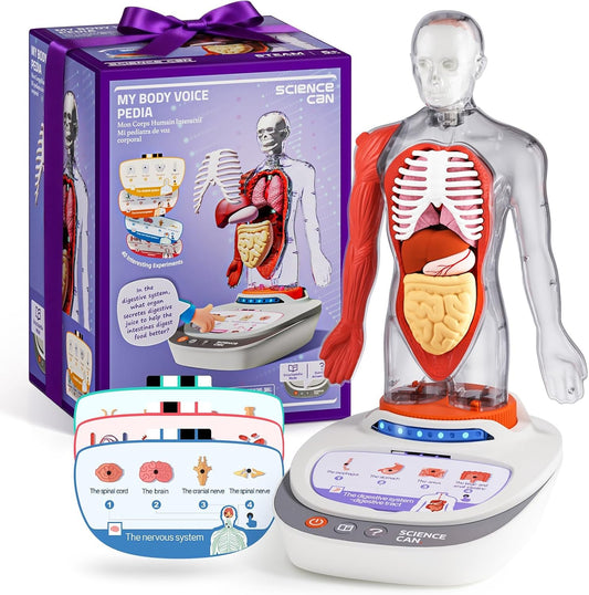 Science Can Body Voice Pedia