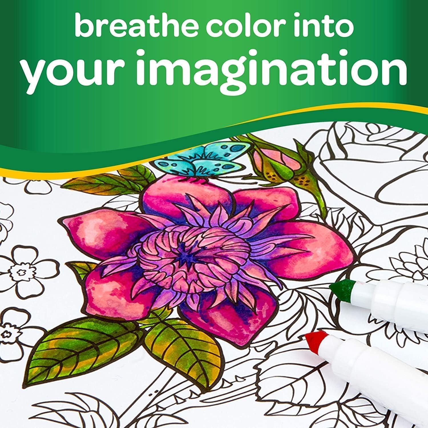 Crayola 24 Washable Supertips