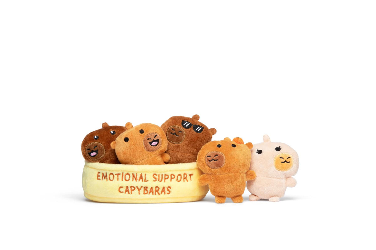 Emotional Support Pals Capybaras