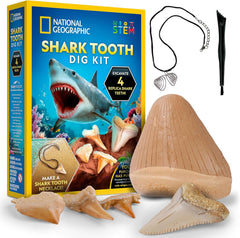National Geographic Great White Shark Tooth Dig Kit