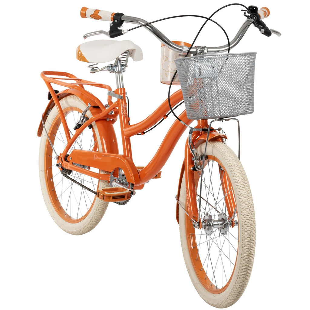Deluxe 20inch Bike